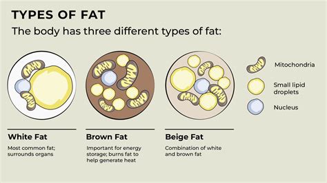 Fat. .